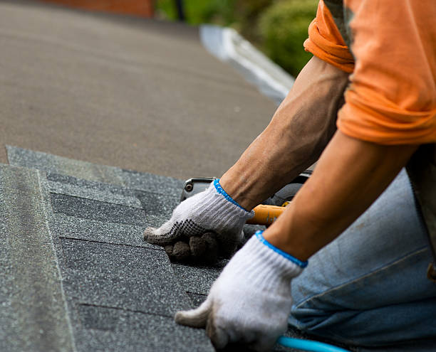 Roof Gutter Cleaning